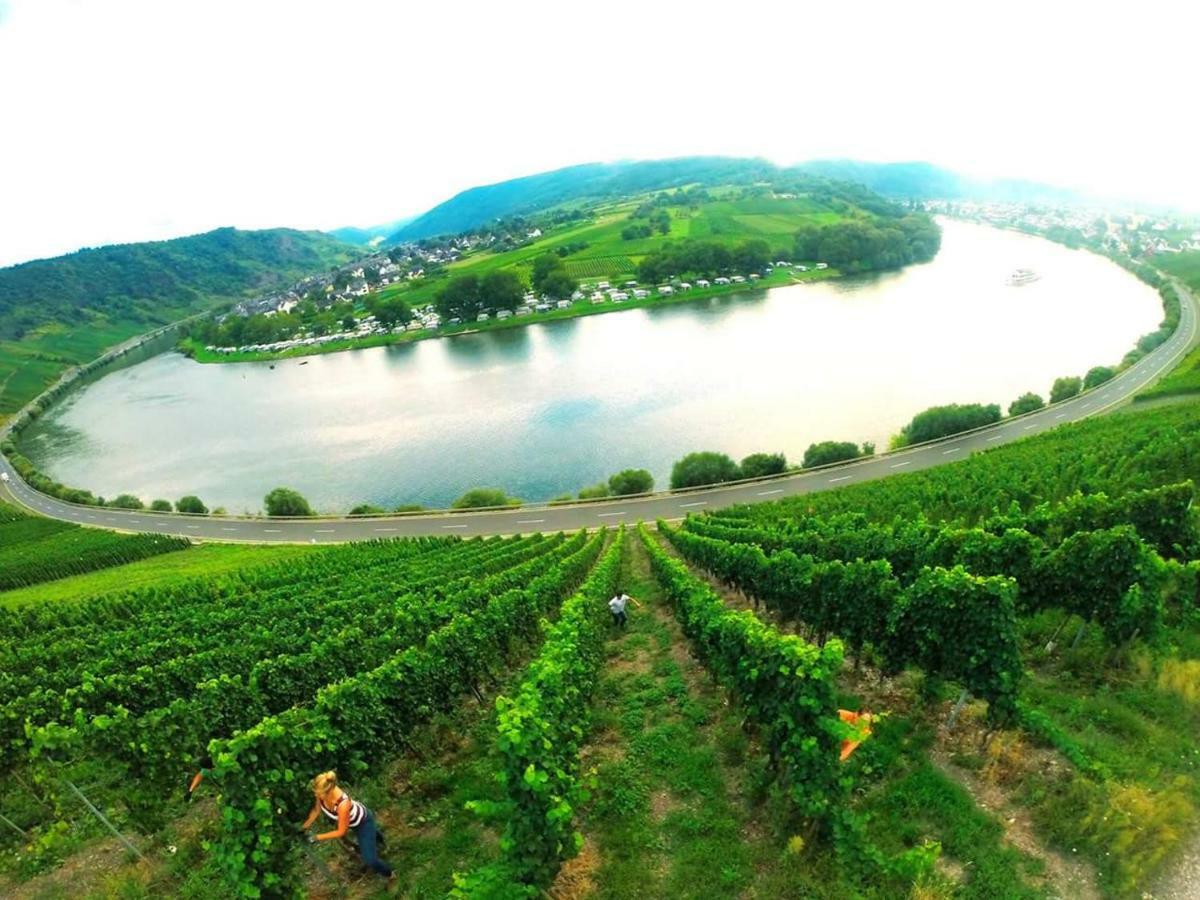 Ferienwohnung Der Weinladen Kröv Exterior foto
