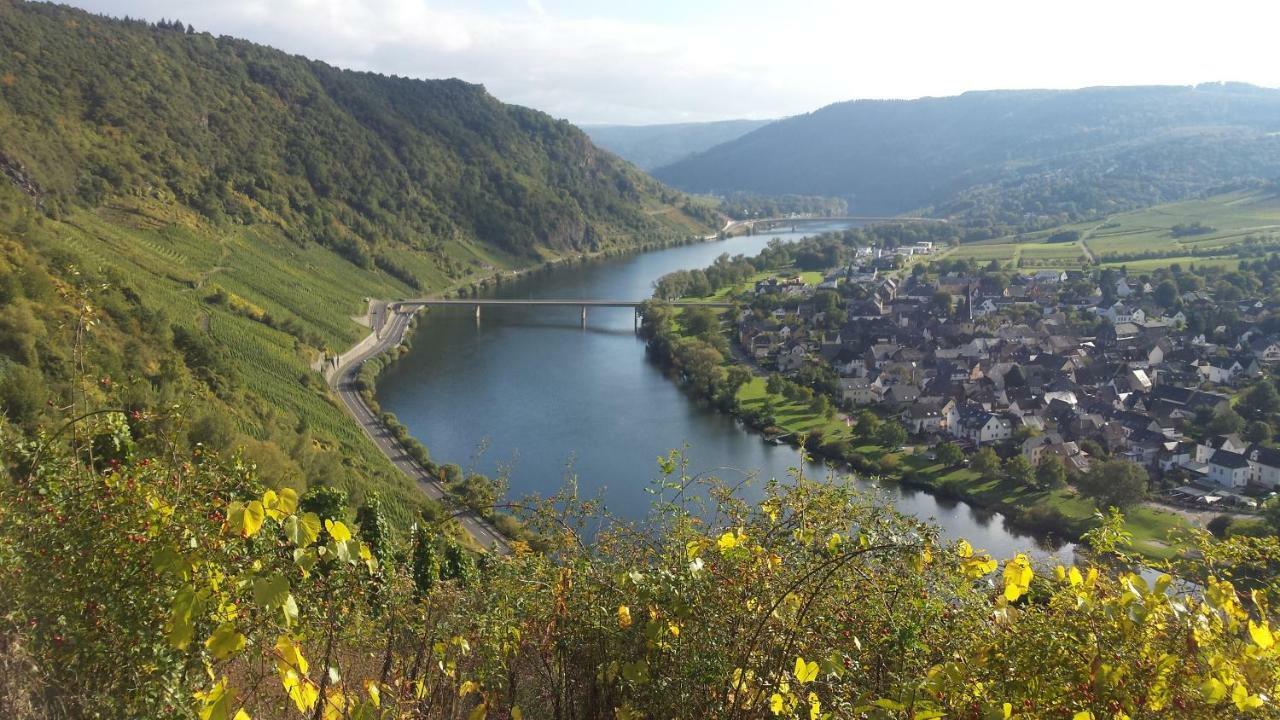Ferienwohnung Der Weinladen Kröv Exterior foto